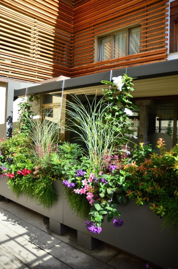 Locanda Blum In Rovetta Zewnętrze zdjęcie